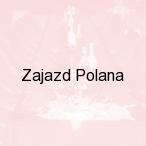 Zajazd Polana, Ustro�