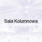 Sala Kolumnowa, Sosnowiec