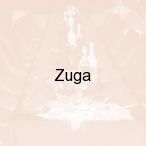 Zuga, Kielce