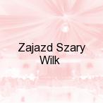 Zajazd Szary Wilk, Brody