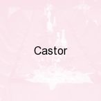 Castor, Kielce