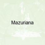 Mazuriana, Szczytno