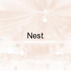 Nest, Gniezno