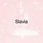 Slavia , Mi�dzyzdroje